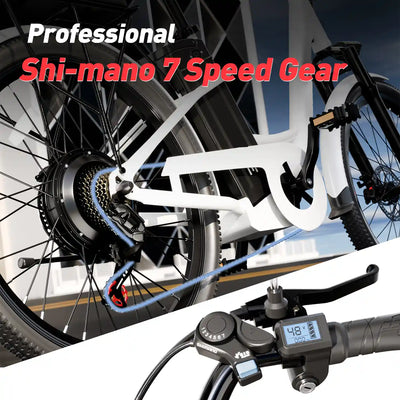 DDC CS20 500W 48V/20Ah Electric Bicycle Removable Battery,22MPH Commuter E-bike,24" Beach Cruiser Ebike for Women&Man, Back Seat Rear Mirror