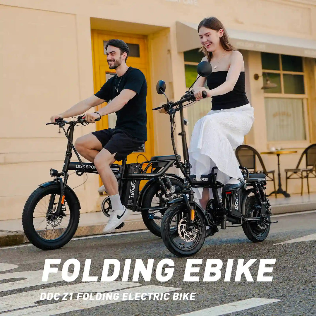 DDC Z1 1000W 48V/20Ah Electric Bicycle With Removable Battery