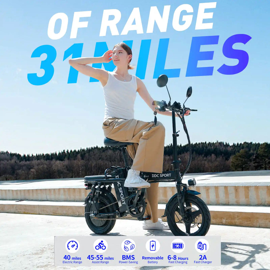 DDC Z1 1000W 48V/20Ah Electric Bicycle With Removable Battery