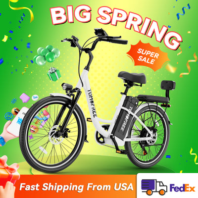 DDC CS20 500W 48V/20Ah Electric Bicycle Removable Battery,22MPH Commuter E-bike,24" Beach Cruiser Ebike for Women&Man, Back Seat Rear Mirror