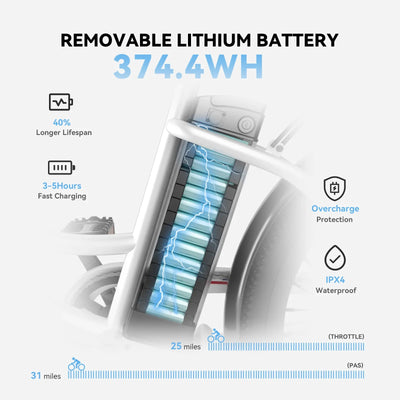 DDC C01 Removable Lithium Battery 374.4wh
