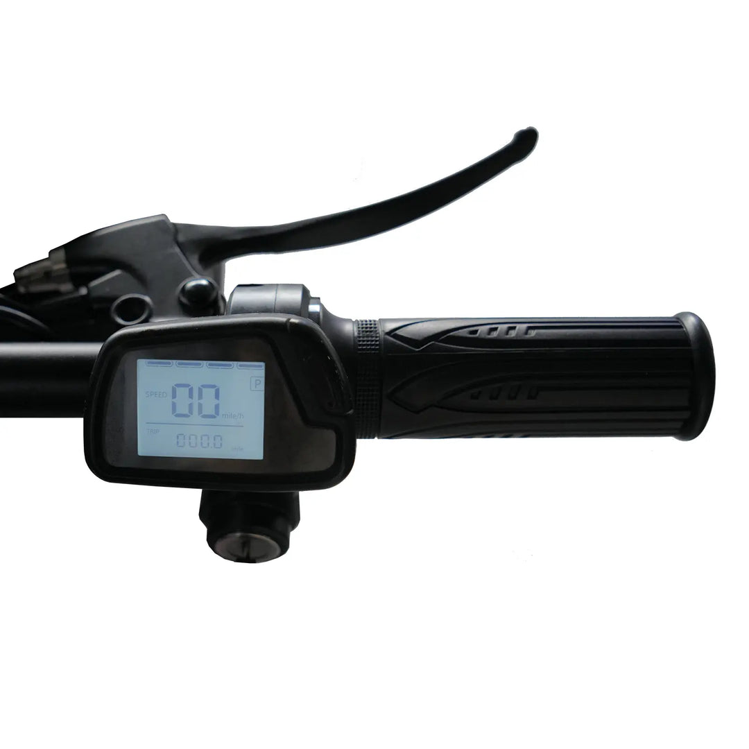 trio display e bike Display with Throttle (with Keys) for M1