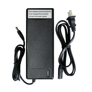 Ebike Charger For DDC M1/Z1/T2